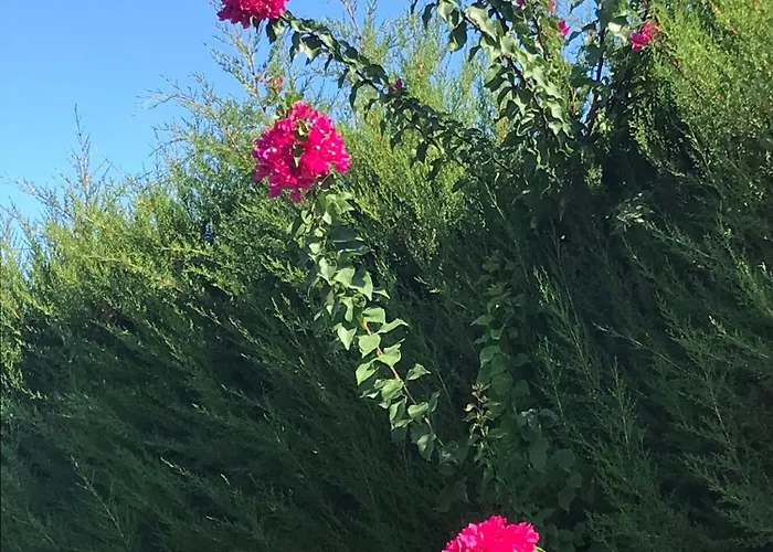 19 Szálloda Çeşme